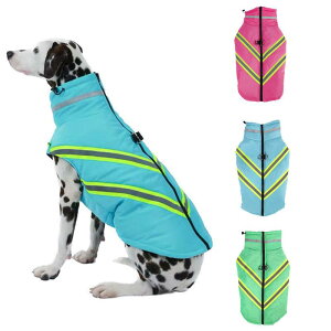  ^ H~ ȃR[g h tN^[ AEghA U p hbOEFA |GXef S5XLΉ