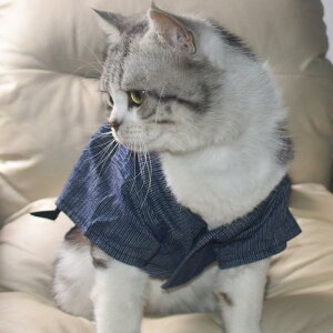 ybg Lp t  ڐG⊴  a  a čՂ Ղ U  킢 ʋC |GXe    FWJ ؕ