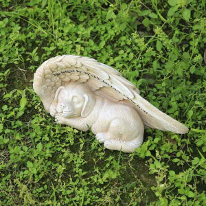 ybgpLO Vg  GWFEBO  AObY OΉ  K[f  AJX^C AC{[zCg IuWF 