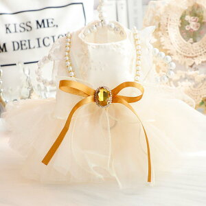  ^ Lp t  Rbg vZX S[hp[ {[ EFfBOhX efB ybgEFA ItzCg