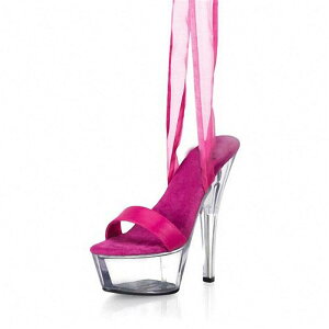 T_ fB[X 15cmq[  NA nCq[ ANXgbv  vbgtH[ Xe[W Cxg p[eB[ r ׃q[