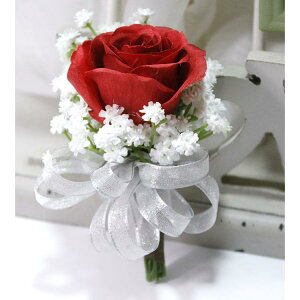 RT[W Xgu[P  EFfBO uC_ rWlX T Cxg QXg  A[gt[ z bh  u[` XgRT[W  Mtg i(x2)