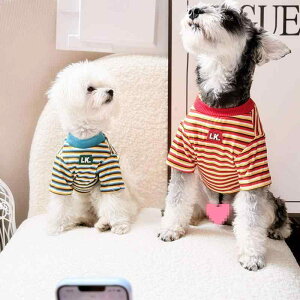 TVc  L ybg  y XgCv  JWA U  ^ L efB ViEU[ Č rVt[[ t