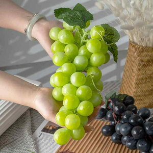 �t�F�C�N�t���[�c ���i�� ���A�� ���� �V���C���}�X�J�b�g �Ԃǂ��[ PVC �\�t�g�v���X�`�b�N ���I �͑��ʕ� �V��݂艺�� �C���e���A �f�B�X�v���C �X�ܑ��� �J�t�F �B�e���� �C�x���g���� 