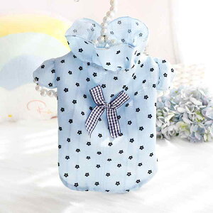 ybg ^ Lp t  vZX ԕ nClbN t uEX gCv[h 킢 ȑf