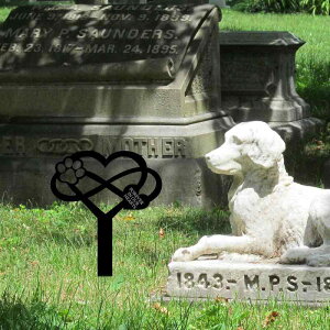 K[fsbN   A   ybg{ O  Őp LOv[g ̎vo