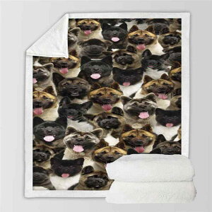 uPbg ѕz 3D  vg K 炩 G ItBX Q Ђ| \t@ xbh s AEghA tH Jt  ĕfUC