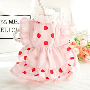 ybgEFA  L t  ^ gCv[h vZX [^  hbg s[X hX { Rbg sN CG[