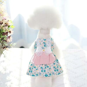 ybgs[X ^ Lp ėp   ԕ 킢 vZX efB hbOEFA LbgEFA U