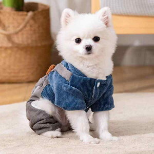 hbOEFA ~p ۉ  l ^p gCv[h rVt[[ ȓR[g JWA  Tybg |GXe