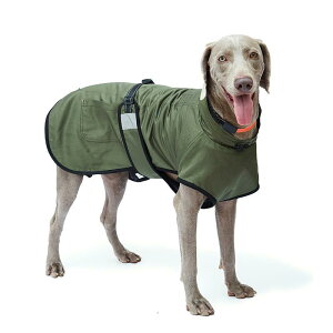 pEFA ^ ^ S[fgo[ uh[go[ h h ȓ  H~p xXg JWA |GXe U o