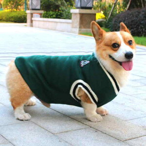 ybgEFA Lp H~ ۉ  N xXg ^ ^ efB t`uhbO S[f rVt[[ g h U op