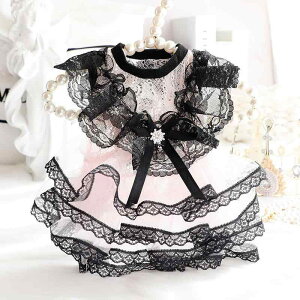 ybgEFA ^ Lp vZXhX Pns[X {[t [X 畞 tH[} 킢  i  p[eB[ Cxg LO Bep sN  