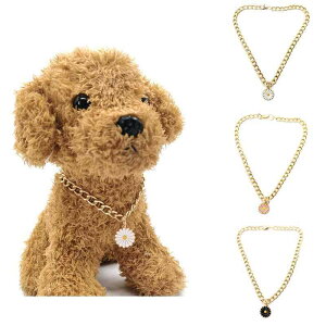 ybgp  L  p y A~`F[ CX^f 킢 qiMN  t[ y_g `[J[  I[V[Y(x2)