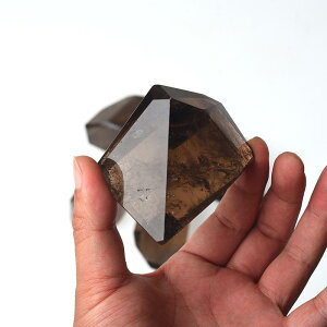 VR  X[L[NH[c 􉽊w ʃJbg H` nhdグ  u IuWF fXN rO   CeA 蕨 Mtg(x2)