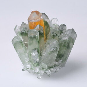 p[Xg[ VR  O[t@g NX^[ zW{  GlM[ q[OXg[ CeA  u IuWF J^   ԏ fBXvC(x2)