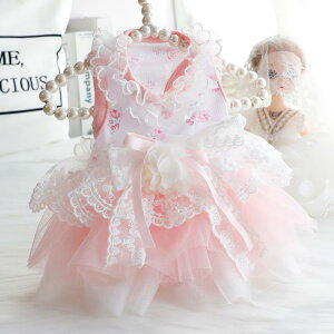 Lp Pl vZXs[X sN ԕ hJ ӂ {[ bV Rbg ^ q gCv[h ` |jA t