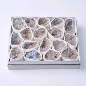  VR dCbLH  WI[h  zW{ wK RNV CeA u fBXvC Xg[ p[Xg[ q[O  {bNX 600g-1000g _