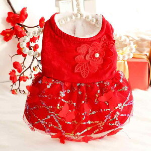 ybgp  L ^ gCv[h H~ h   Te VtH vZXhX Pn s[X d\ sN ȑf Rbg