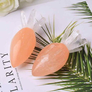 u VR  ΍p jW^  IuWF CeA  킢 H|i fR[V v[g