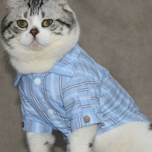  L ^ ^ іh~ Eё΍ n JWA t ėp  y ybg Vc uEX pW}  XJCu[ F |GXe