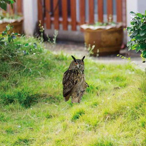 K[fsbN Q΍ Qb悯 悯 AN tNE VGbg Jg[ O  x_ I[ig u