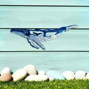 EH[fR[V ACA Jt NW `[t AJJg[ EH[A[g IuWF rO _CjO Q  Ǌ| CeA 