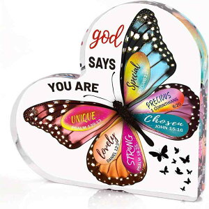 u IuWF AN n[g^  Jt X `[t   CeA p[eB[ fR[V Cxg Mtg v[g _ Vv (x2)