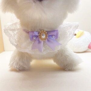 ybgANZT[ Lp p [X p[ 킢 vZX I[V[Y  lbNX  X^C |GXe i GKg  i