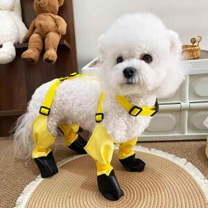 p  h h~ D v U o SgJo[  Ȃ I[o[I[ p[X ^ ^ ^ rV ViEU[ R[M[ S[f ybgEFA