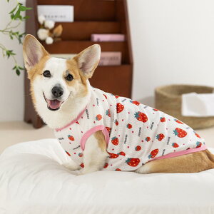 pxXg ^Ngbv ybgEFA hbOEFA t Lk K  킢 t[c  A{Jh  WK[hjbgf 2{ R[M[ pO _bNXth 