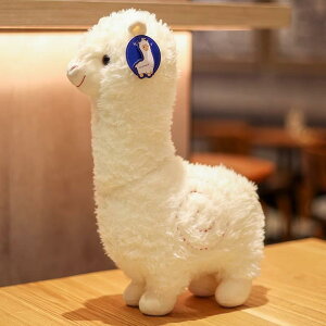 ʂ fB[X 킢 ApJ r  ӂӂ V[gpC PPRbg Qp NbV l` av[g Əj Mtg zCg sN O[ ~j 傫