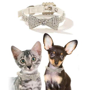  Lp ^ ^ L WRjA lbNX LL vZX ANZT[ tFCNU[ [hΉ I[V[Y ԕ