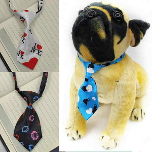 ybgplN^C L p lN^C ֗pANZT[ Jt XgCv 킢  |GXe I[V[Y ^ ^ Lp(x2)