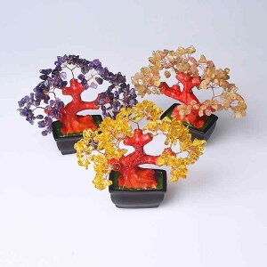 c[ VR  AWXg ^ K^ bL[ACe  ItBX  fXNgbv u CeA p[Xg[ N Mtg v[g _ Vv Jt 