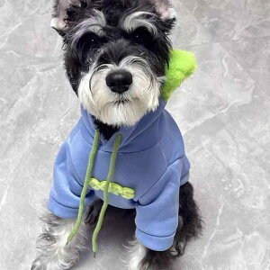 ybg ^ q L p[J[  H~ JWA XEFbg gCv[h R[M[ t`uhbO 킢  |GXe u[ O[ CG[ lCr[ XS S M L 