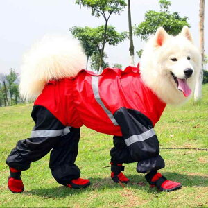 pC h ~ ۉ ^ TGh nXL[ Up op J̓ ̓ V HΉ SV^ hbOu[c ubN