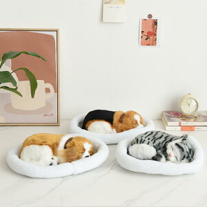 u LbY AȌ hbO ͌^ tBMA ċz  ʂ { tFCNt@[ CeA G rO  v[g