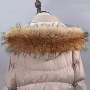 V[ fB[X H~ ӂӂ Ot@[ tFCNtHbNX  ݊ }t[ lbNEH[}[ Xg[gfUC ʋΗp 񂵖\