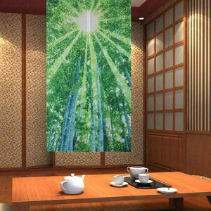 ̂ a z t@ubN fW^vg  ډB Ԏd؂ CgO[ 85cm 150cm  i` CeA(x2)