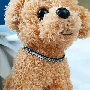 ybgpi L  p ^ ^    LL CXg[ WRjA  Fɂ  I[V[Y  lbNX `[J[ U o(x2)