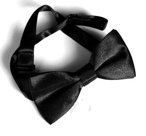 lN^C LbY xr[ {E^C |GXe  ؍ tH[} n 30F j̎q ̎q w Ǝ \  Cxg ߑ