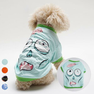 ybg Lp nEB  RE XJ hN ϐg  RXv Cxg p[eB[ ^ ^ Lp j[N 킢 |GXeEFA 