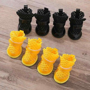 pC ^ c gCv[h rVt[[ Eɂ ʋC \tg\[ ~ U ėp z 蔲fUC J[    sN 4Zbg