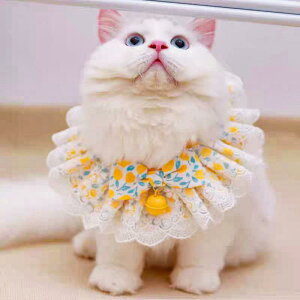 ybgpX^C Lp 킢 t[c tFA[ vZX `FbN ʐ^Bep ANZT[ o_i  t |GXe F sN(x2)