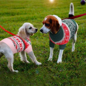  g h ^[glbN jbg ^ ^ NX}XZ[^[ [  JWA U o  p[eB[