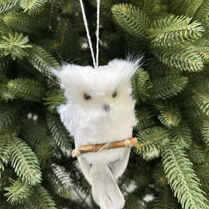 I[ig NX}Xc[ tNE ʂ A  z y fR[V G CeA