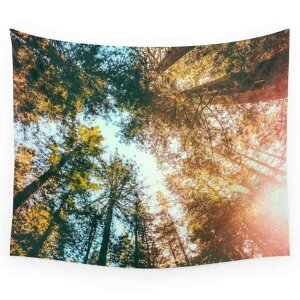 ^yXg[ Ǌ| Ch vg |GXe @􂢉 EH[fR[V rO Q ̖͗lւ ډB r[`^I r[`}bg W[V[g ăXg