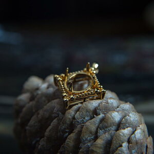 y_g fB[X S925Vo[ 18KbL 4{ g  ^[RCY dCbLH nhCh WG[ DIYp[c ANZT[