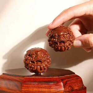 CeA u VR h C ؒ  蕨 莝  N ̓{[ ґz RNV  bL[ACe  h